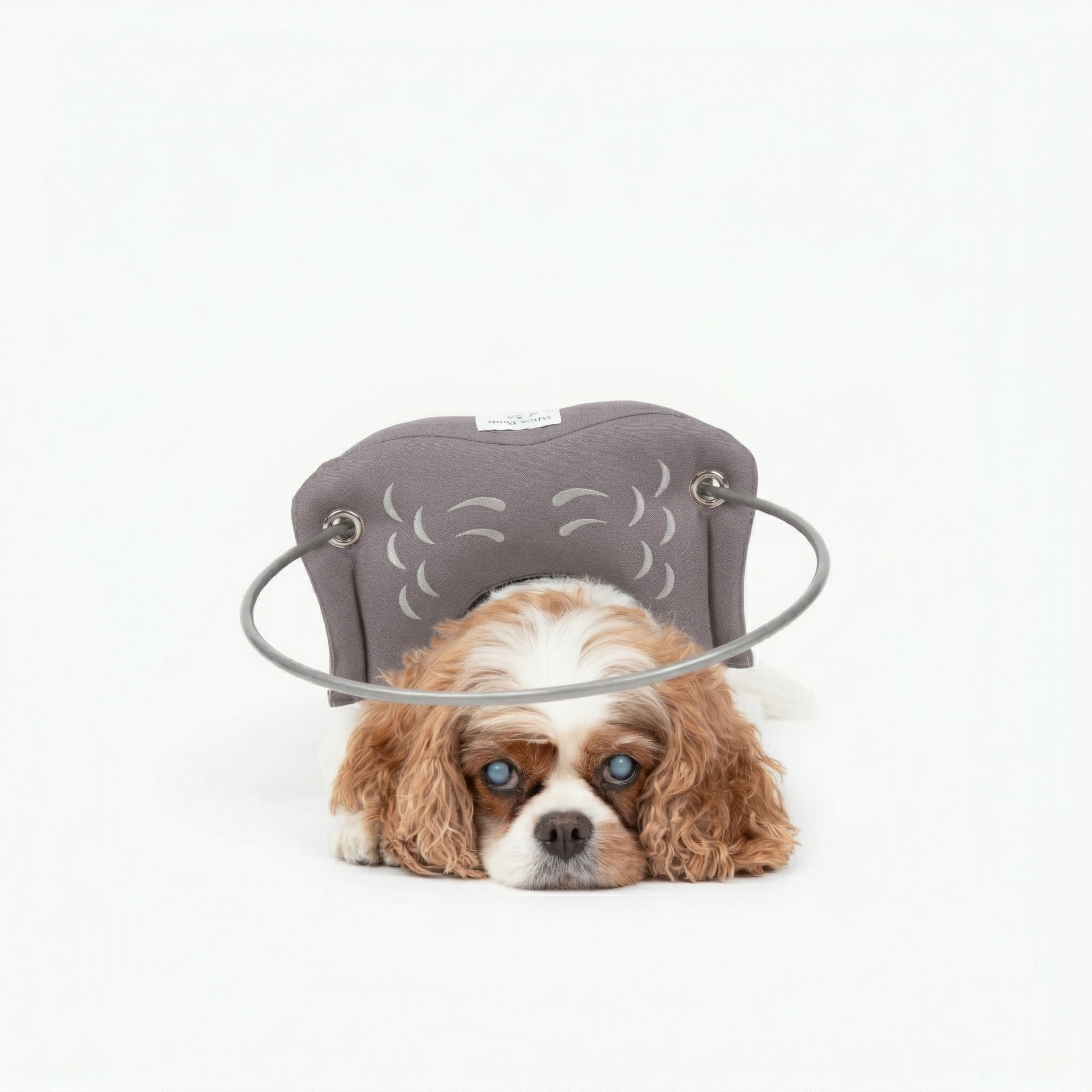 Muffin's Halo - Gray Muffin's Halo - Gray