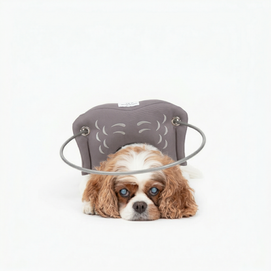 Muffin's Halo - Gray