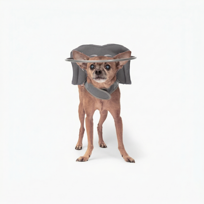 Muffin's Halo - Gray