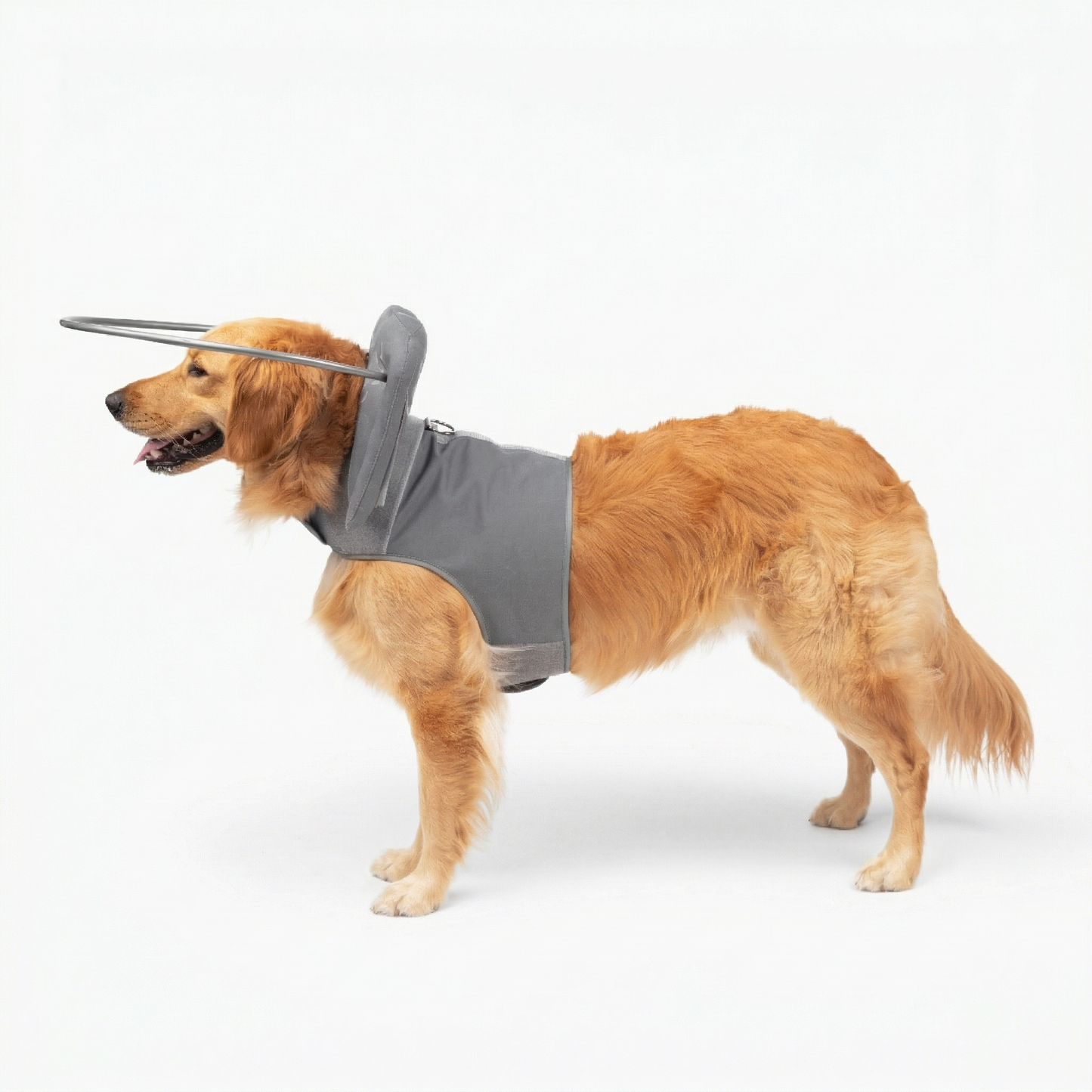 Muffin's Halo - Gray