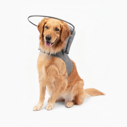 Muffin's Halo - Gray