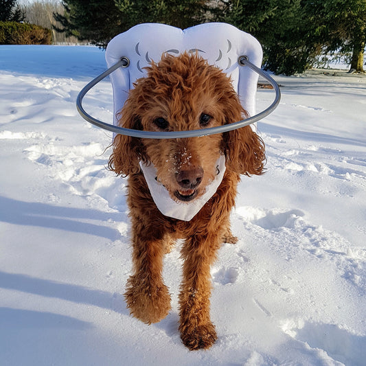 Muffin's Halo - White