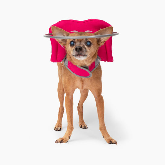 Muffin's Halo - Pink