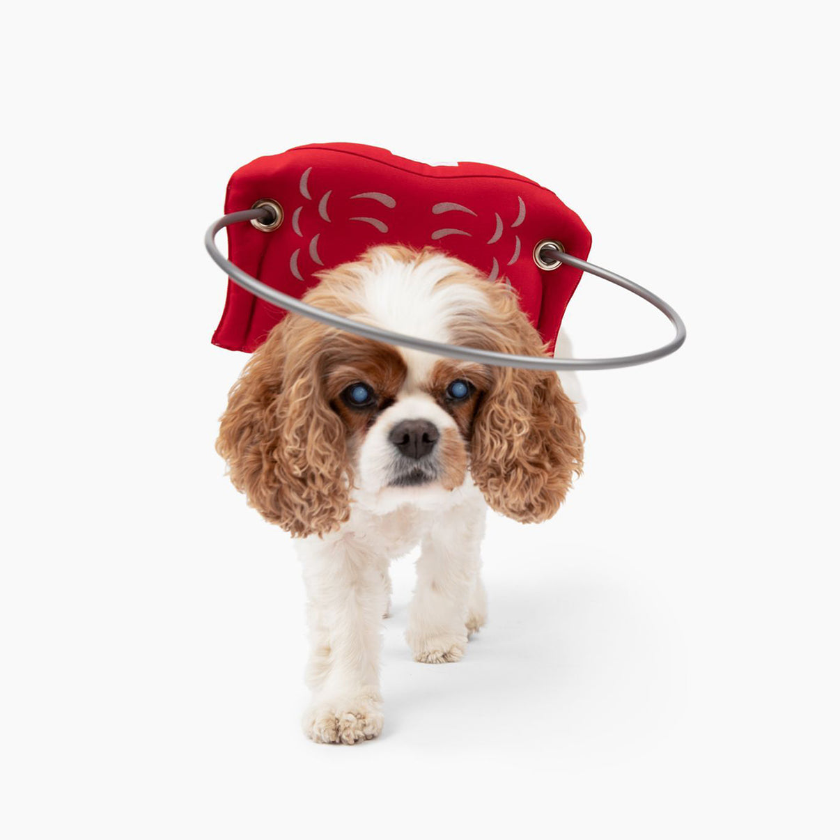 Muffin's Halo Red Muffins Halo